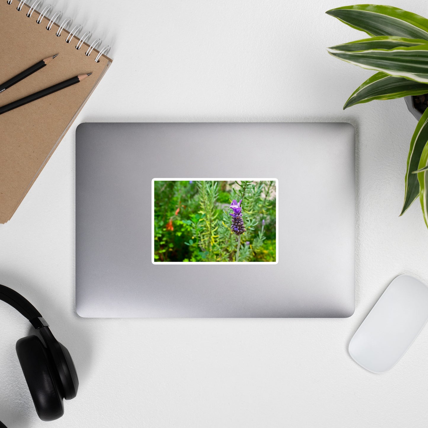 Lifestyle photo of a rectangular vinyl sticker with an image of a lavender bloom in an herb garden, placed on the outside of a laptop.
