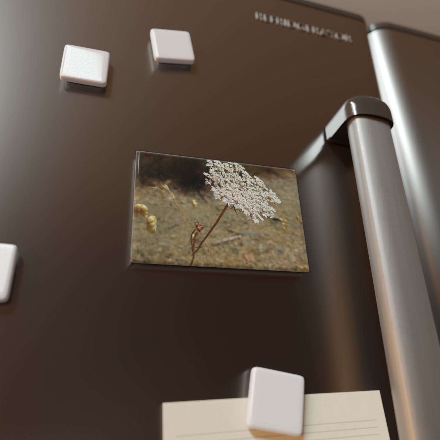 Lifestyle photo of a rectangular button magnet with an image of Queen Anne's lace flower, placed on a fridge.