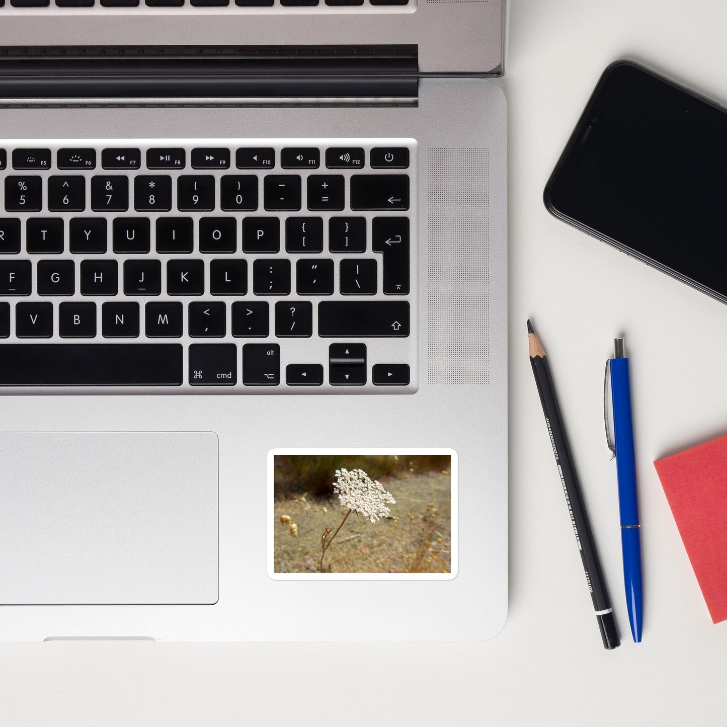Lifestyle photo of a rectangular vinyl sticker with an image of a white Queen Anne's Lace bloom, placed on a laptop to the right of the mouse pad.