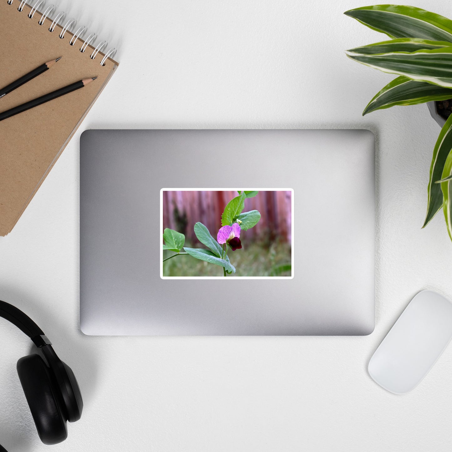 Lifestyle photo of a rectangular vinyl sticker with an image of a sweet pea bloom, placed on the outside of a laptop.