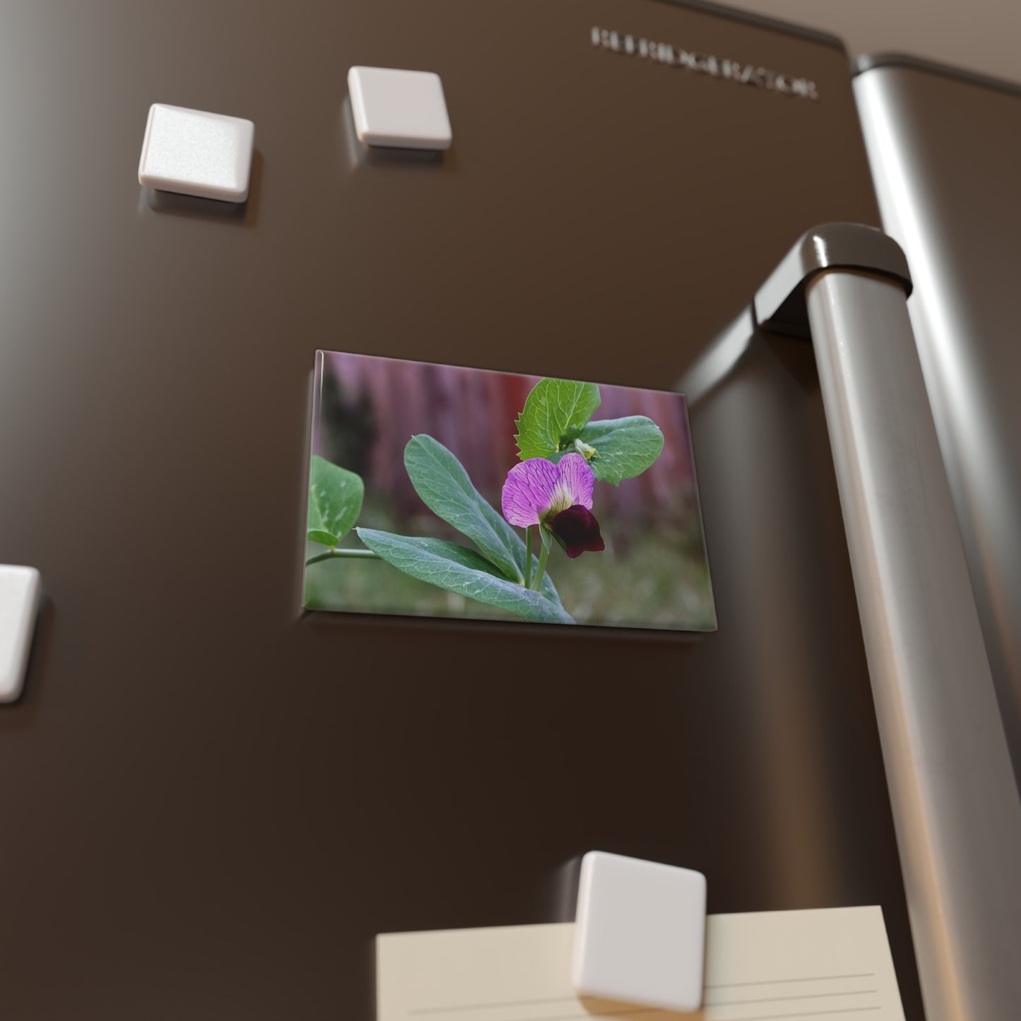 Lifestyle photo of a rectangular button magnet featuring a close-up image of a purple wild sweet pea flower with green leaves in the background, placed on a fridge.