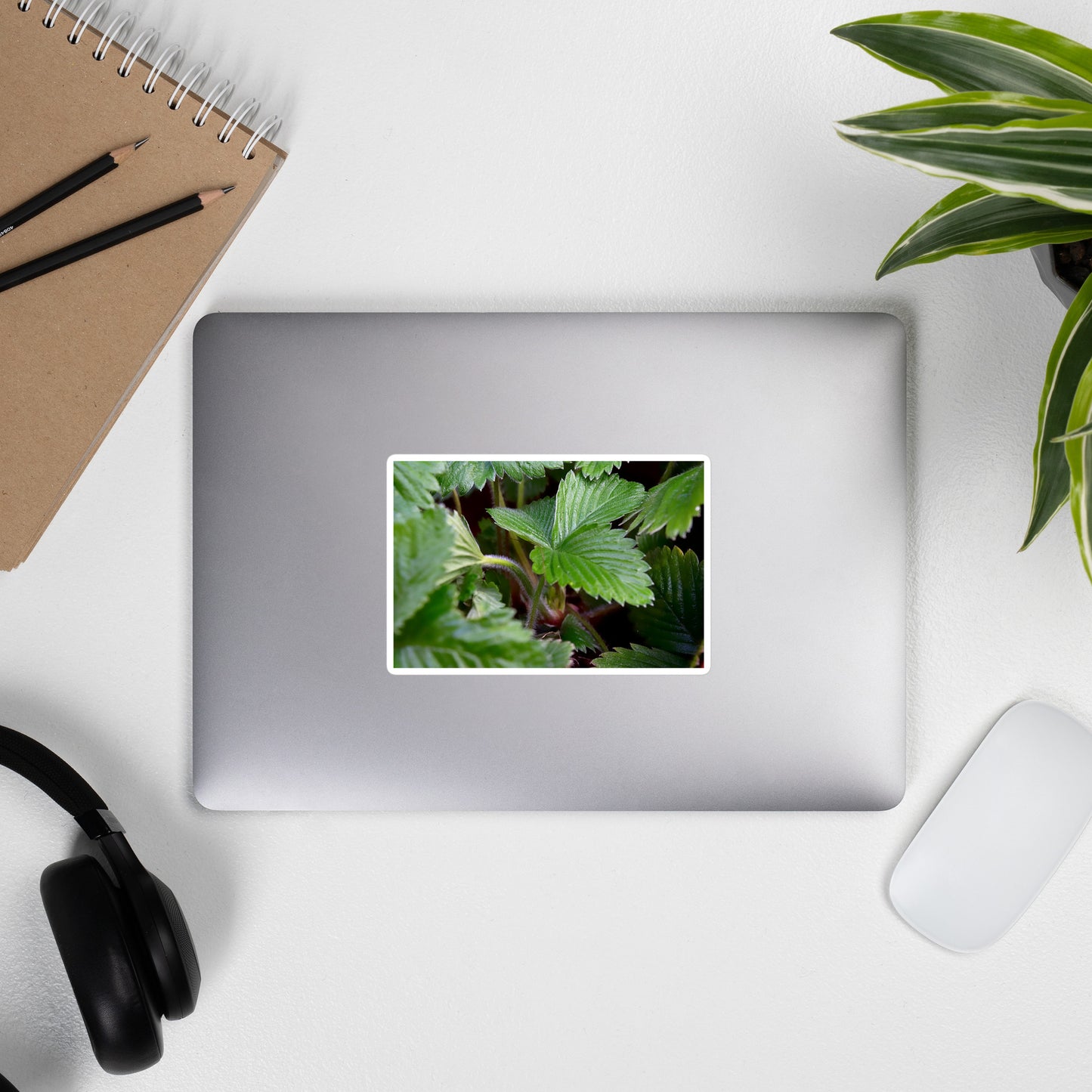 Lifestyle photo of a rectangular vinyl sticker with a close-up image of strawberry leaves, placed on the outside of a laptop.