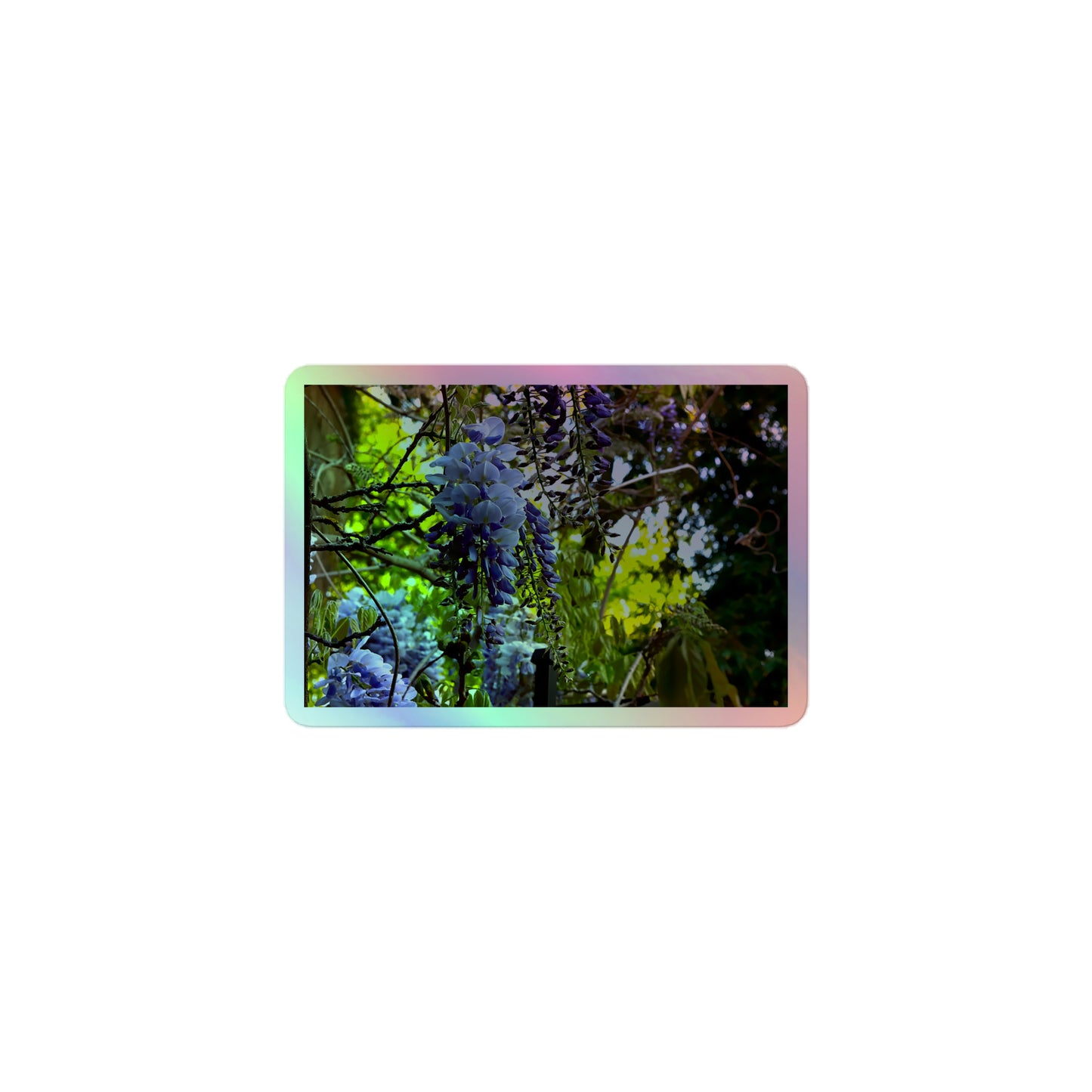 A small rectangular holographic sticker with an image of purple wisteria blooms in a vibrant green garden.