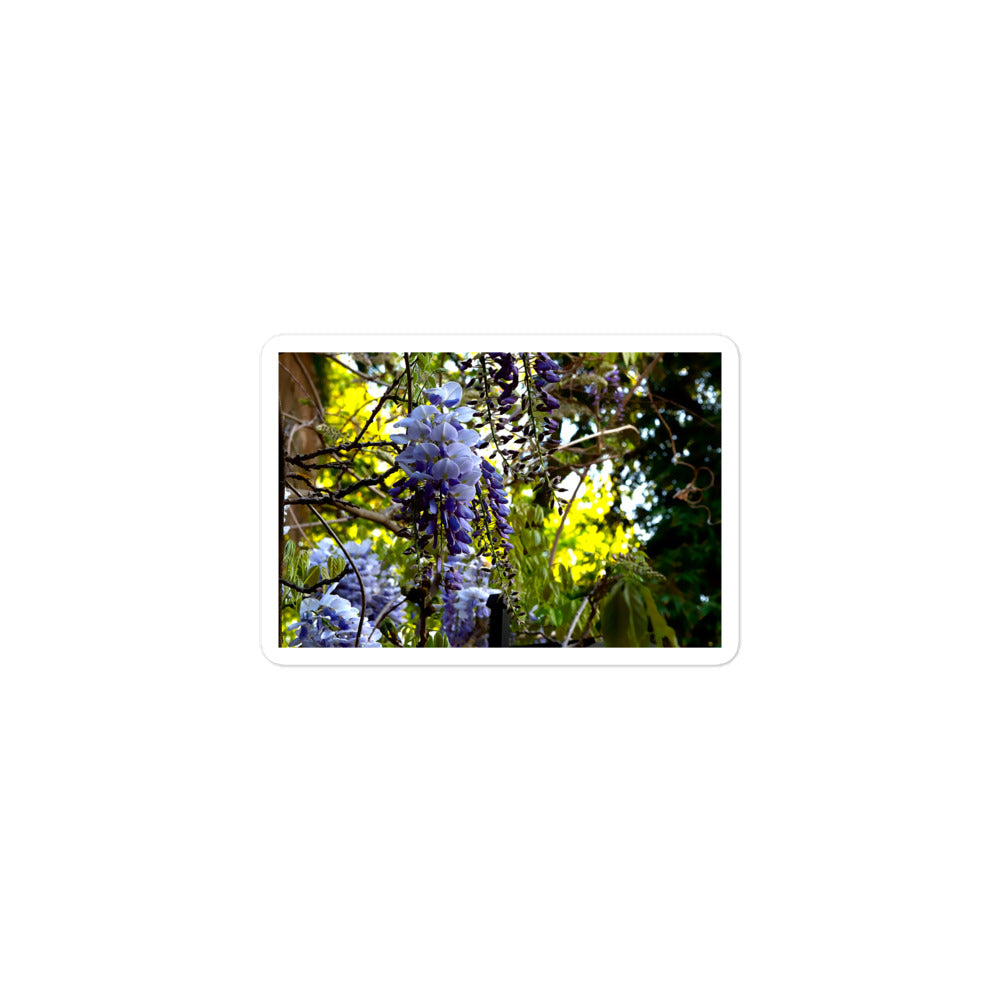 A small rectangular vinyl sticker with an image of purple wisteria blooms against a green background.
