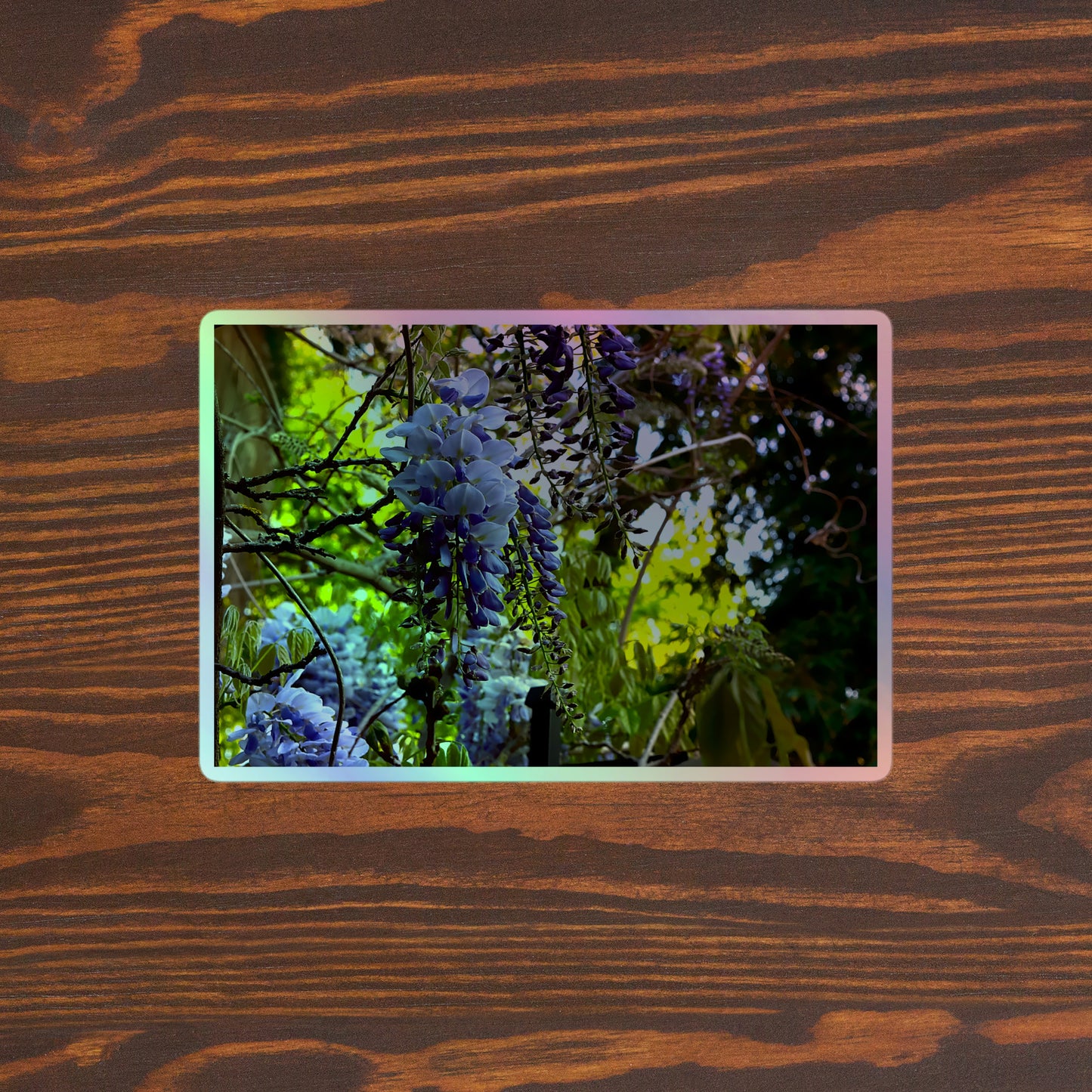 Lifestyle photo of a rectangular holographic sticker with an image of purple wisteria blooms in a vibrant green garden, placed on a brown wooden table surface.