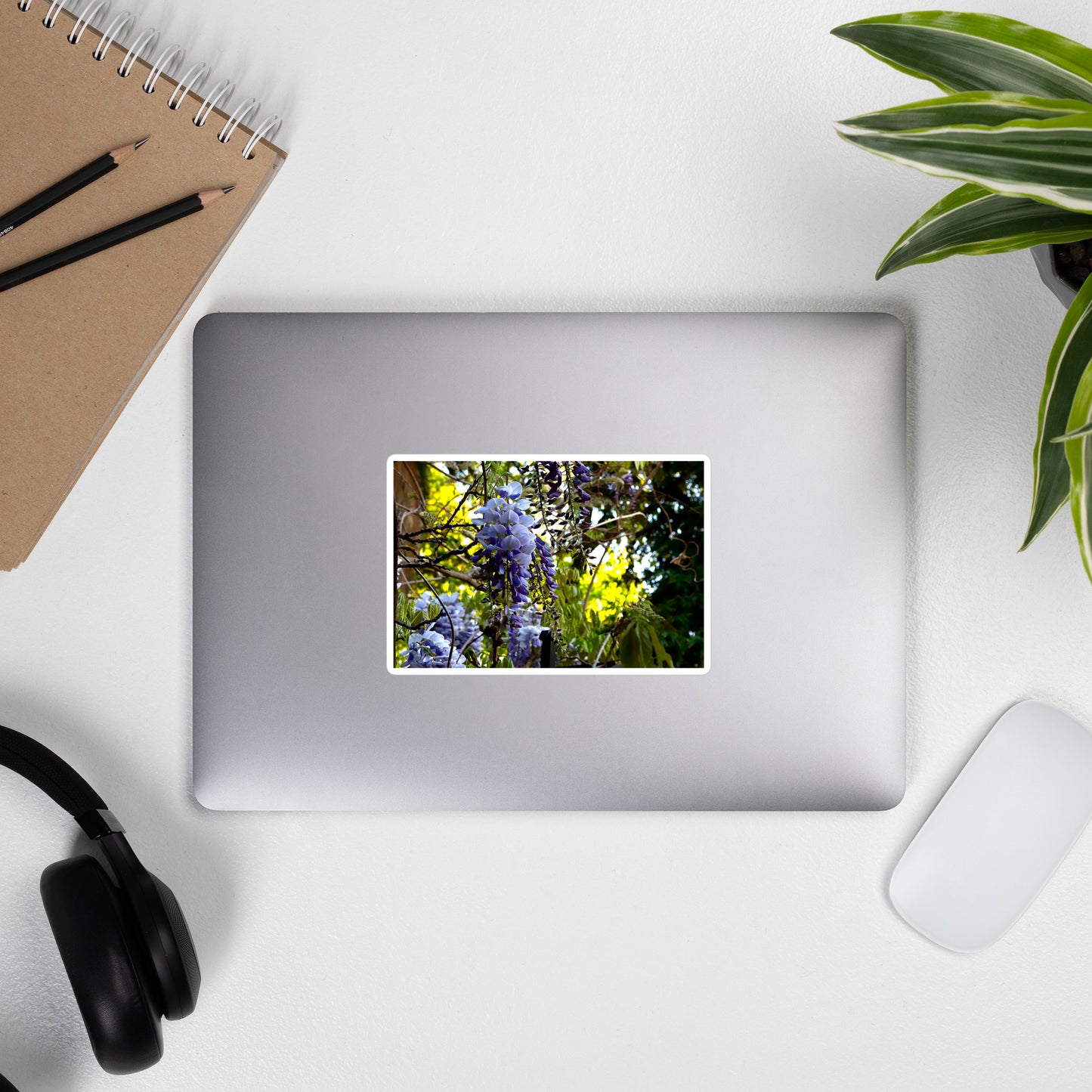 Lifestyle photo of a rectangular vinyl sticker with an image of purple wisteria blooms against a green background, placed on the outside of a laptop.