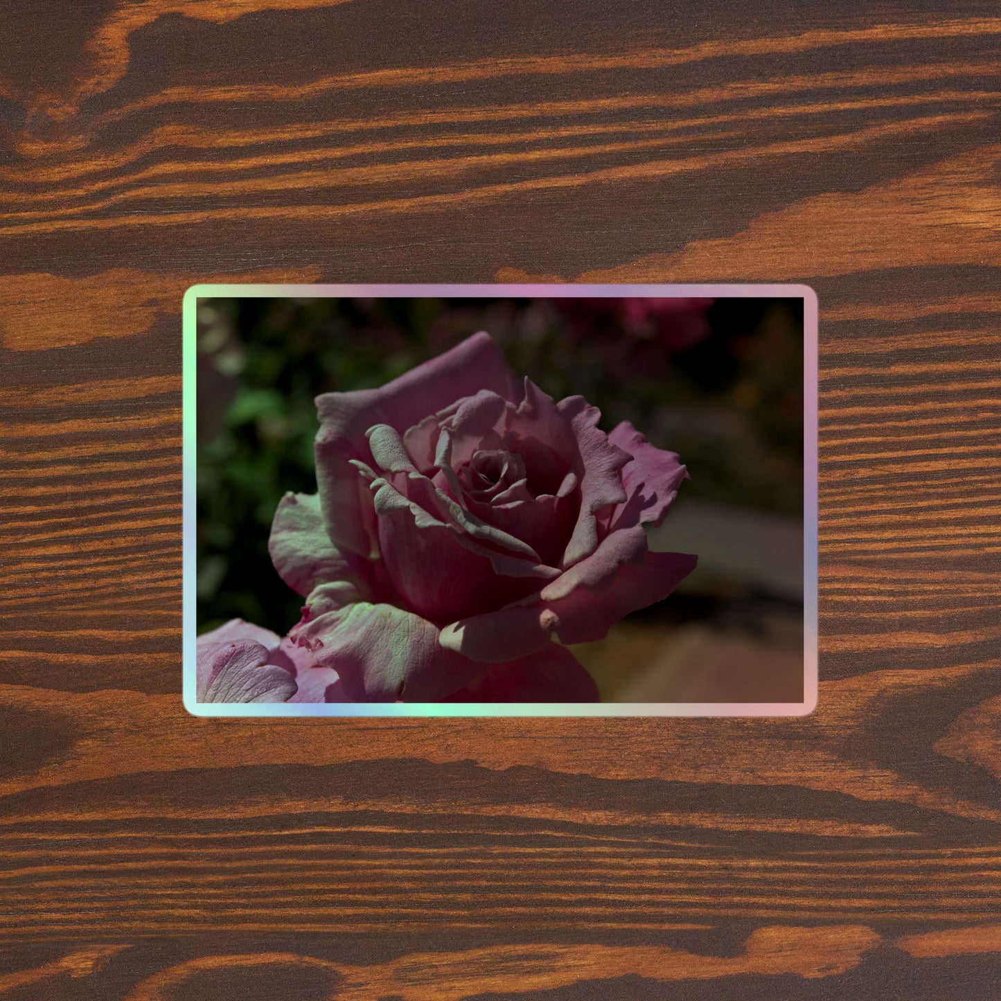 Lifestyle photo of a rectangular holographic sticker with a close up image of a light pink rose bloom, placed on a brown wooden table surface.
