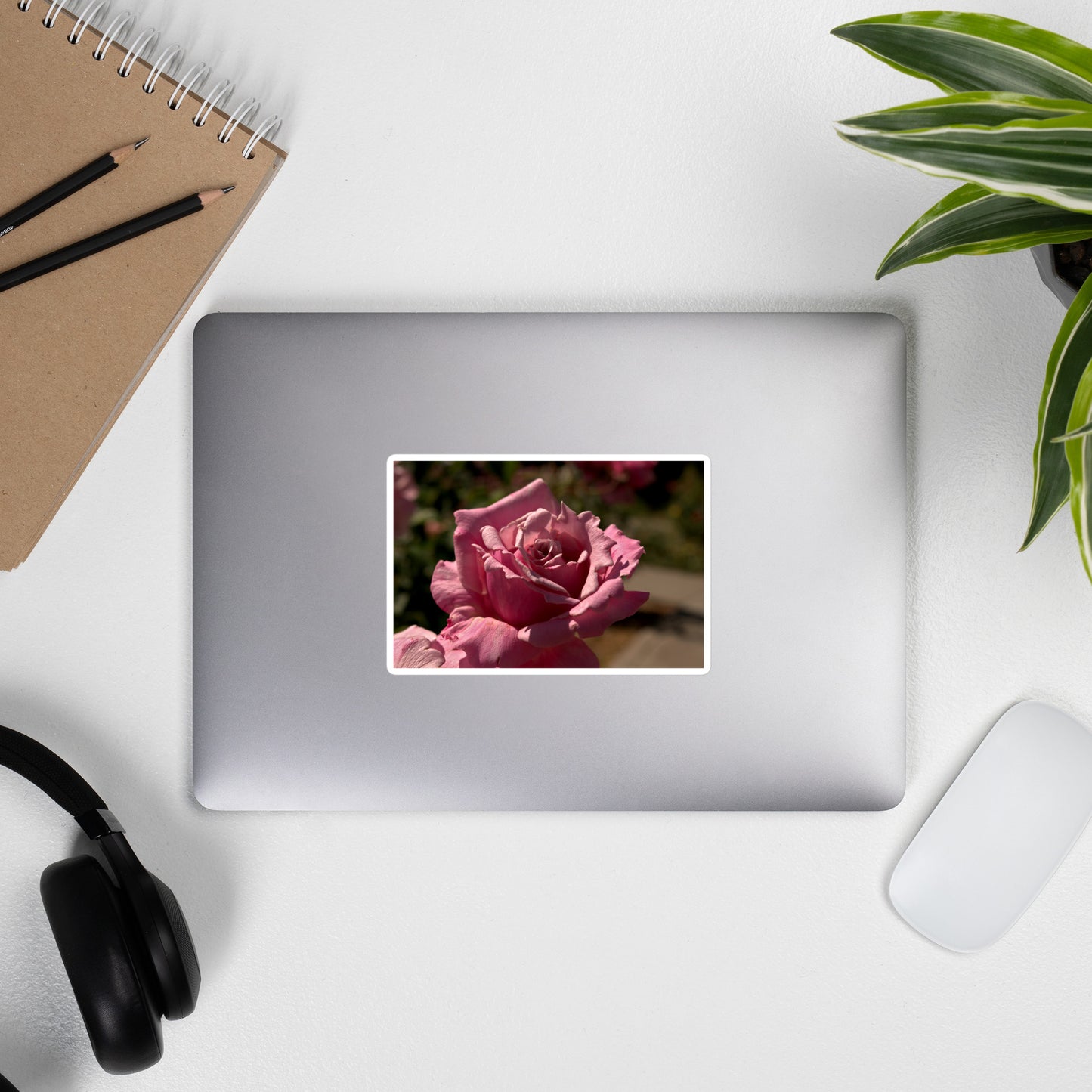 Lifestyle photo of a rectangular vinyl sticker with a close-up image of a bright pink rose bloom, placed on the outside of a laptop.