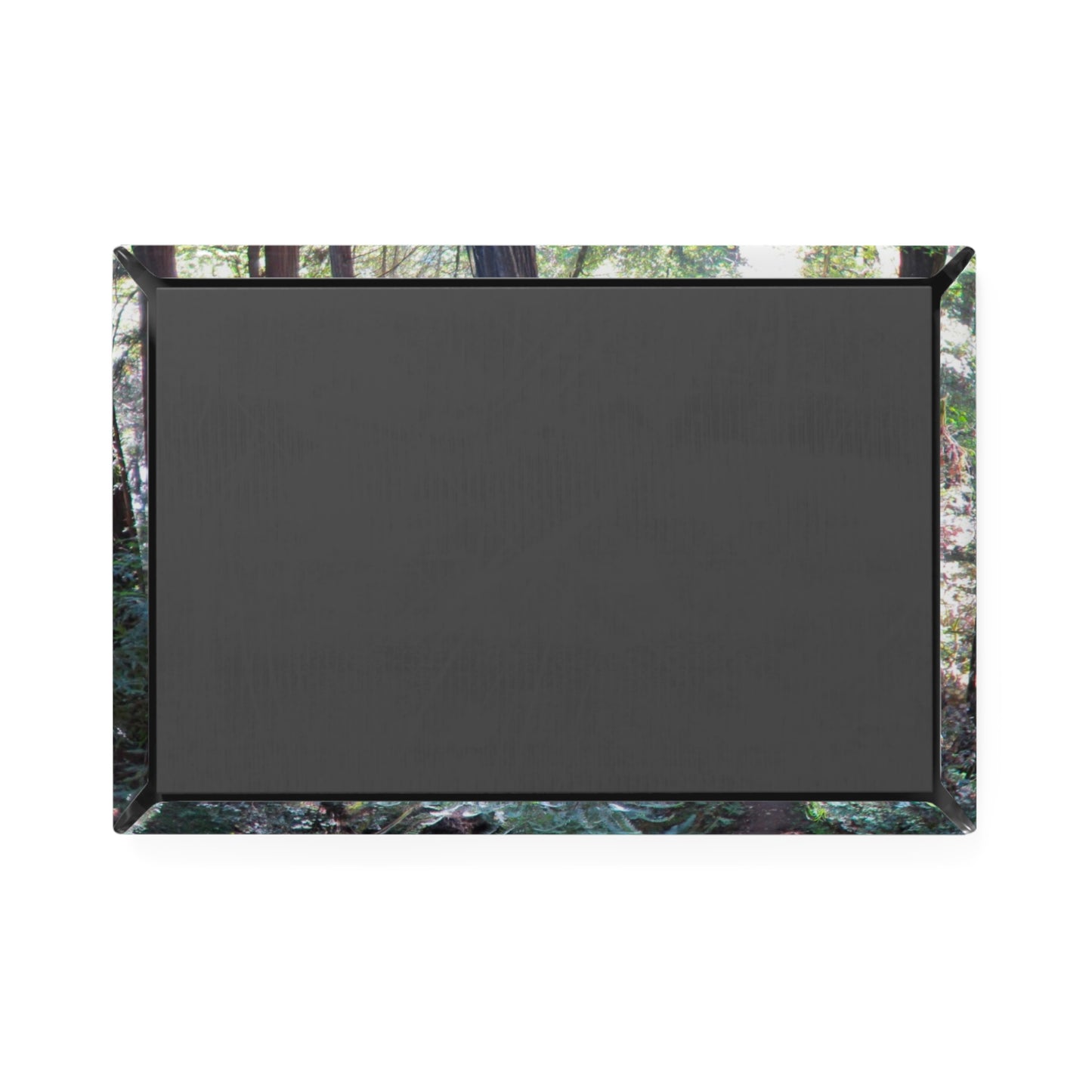 Back view of a rectangular button magnet.