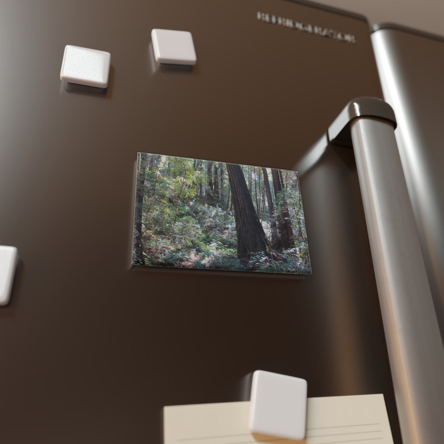Lifestyle photo of a rectangular button magnet with an image of a redwood forest and a fern lined floor, placed on a fridge.