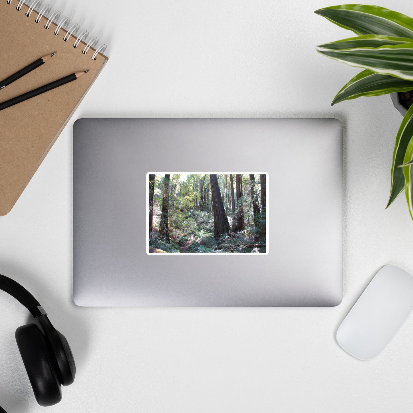 Lifestyle photo of a rectangular vinyl sticker with an image of a trail through a redwood forest, placed on the outside of a laptop.