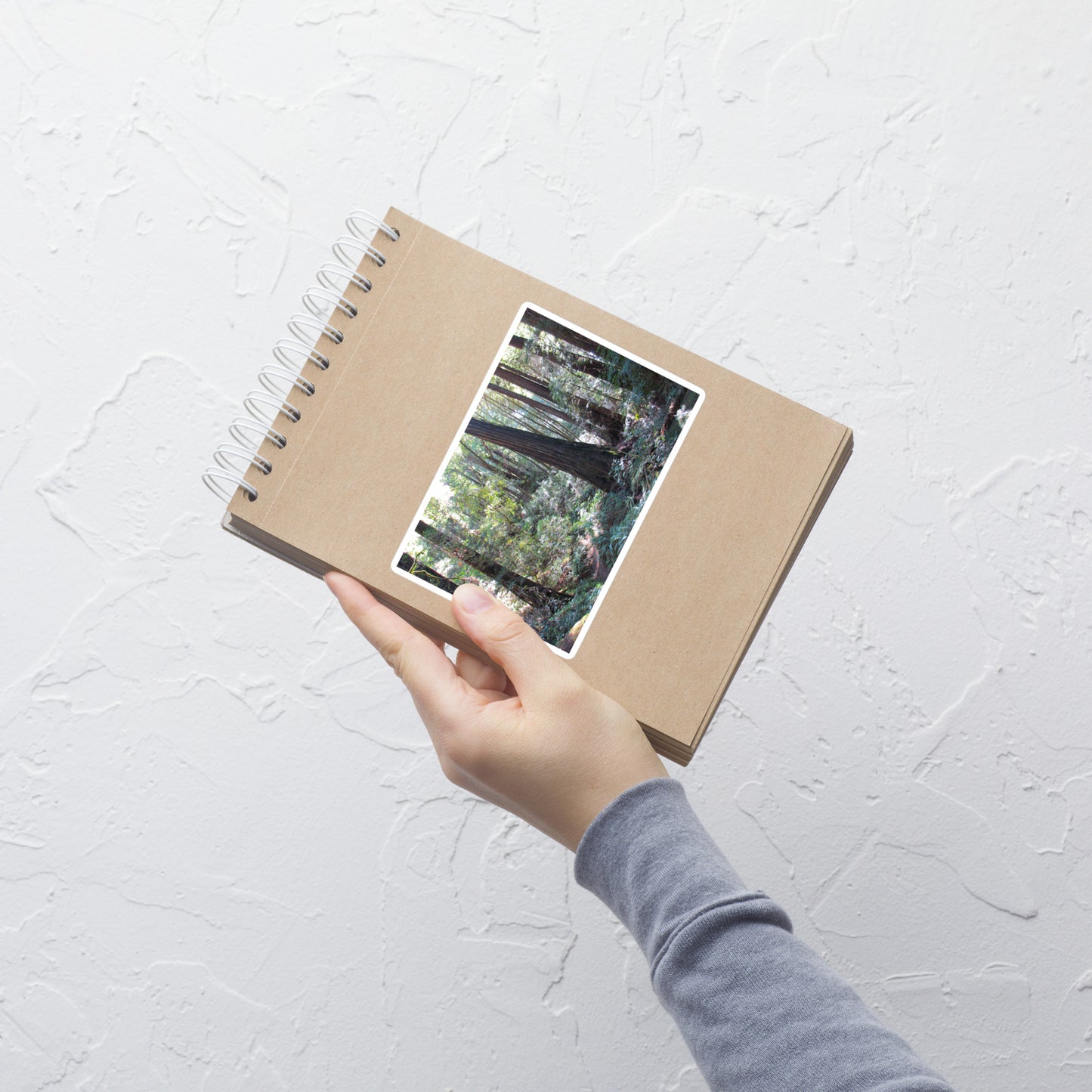 Lifestyle photo of a rectangular vinyl sticker with an image of a trail through a redwood forest, placed on a small notepad.
