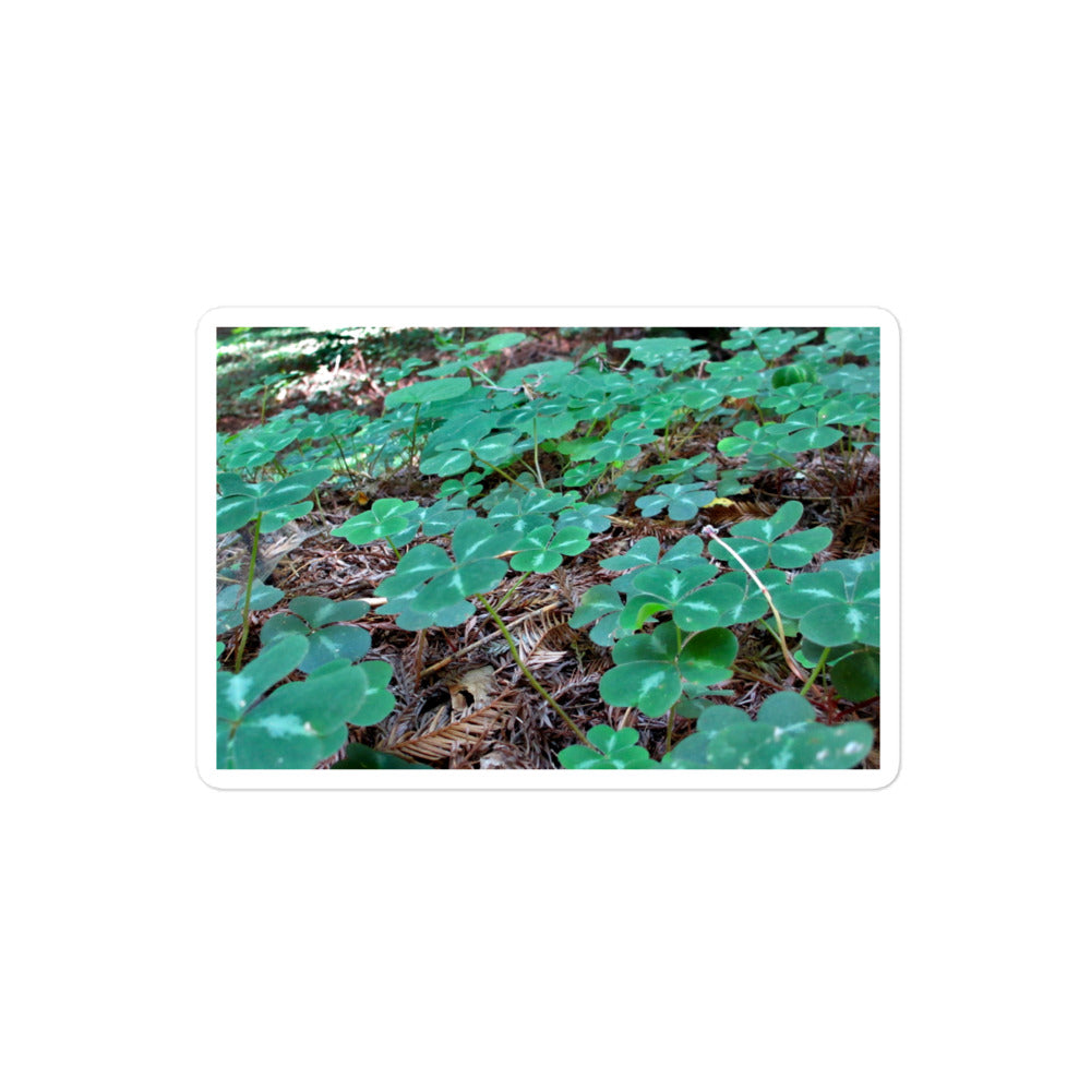 A medium rectangular vinyl sticker with an image of a field of vivid green clovers and redwood needles.