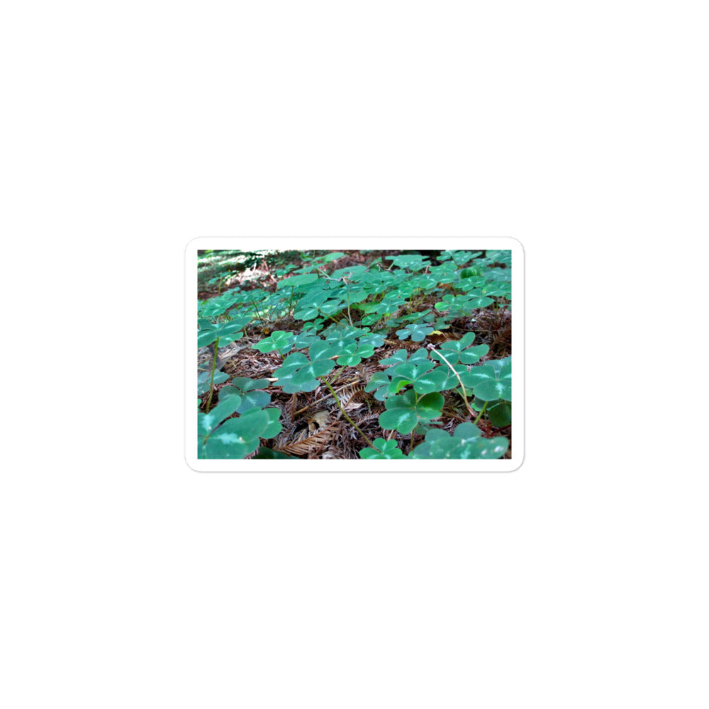 A small rectangular vinyl sticker with an image of a field of vivid green clovers and redwood needles.