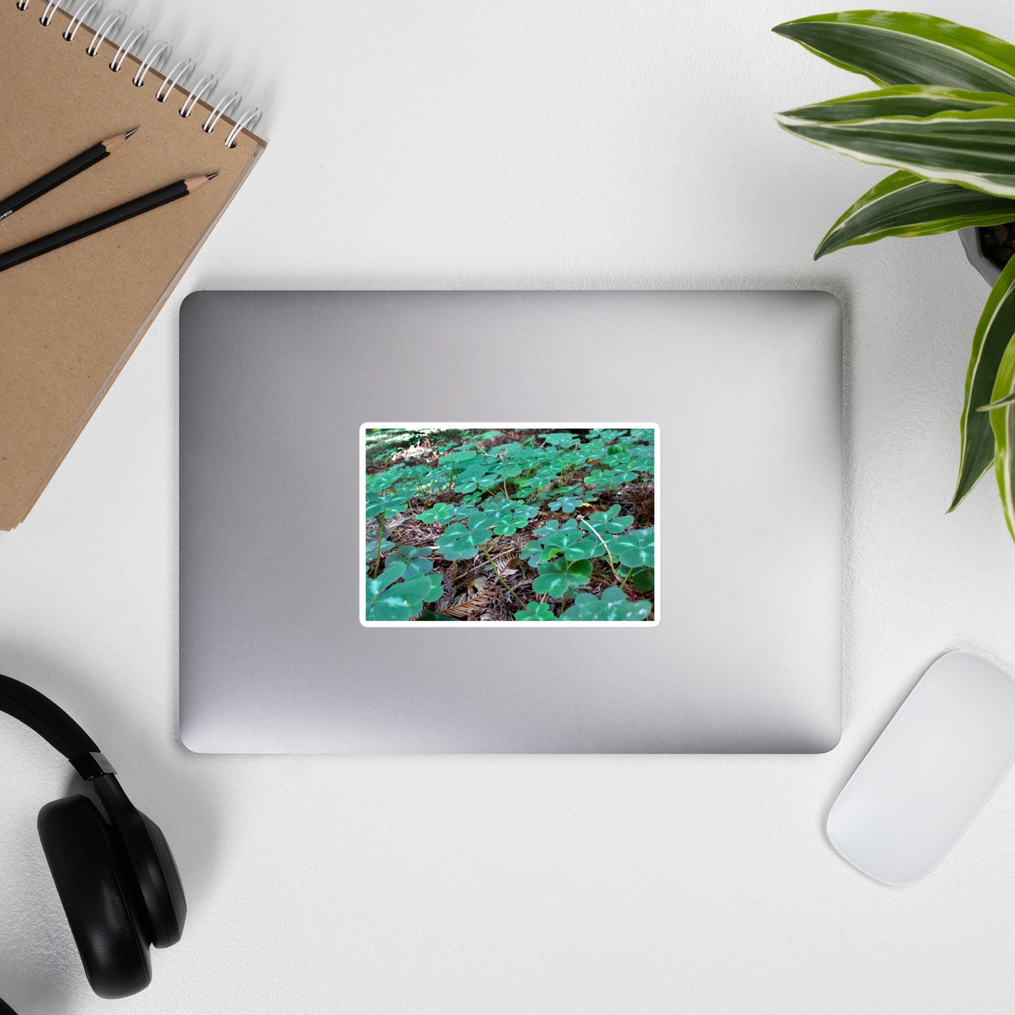 Lifestyle photo of a rectangular vinyl sticker with an image of a field of vivid green clovers and redwood needles, placed on the outside of a laptop.