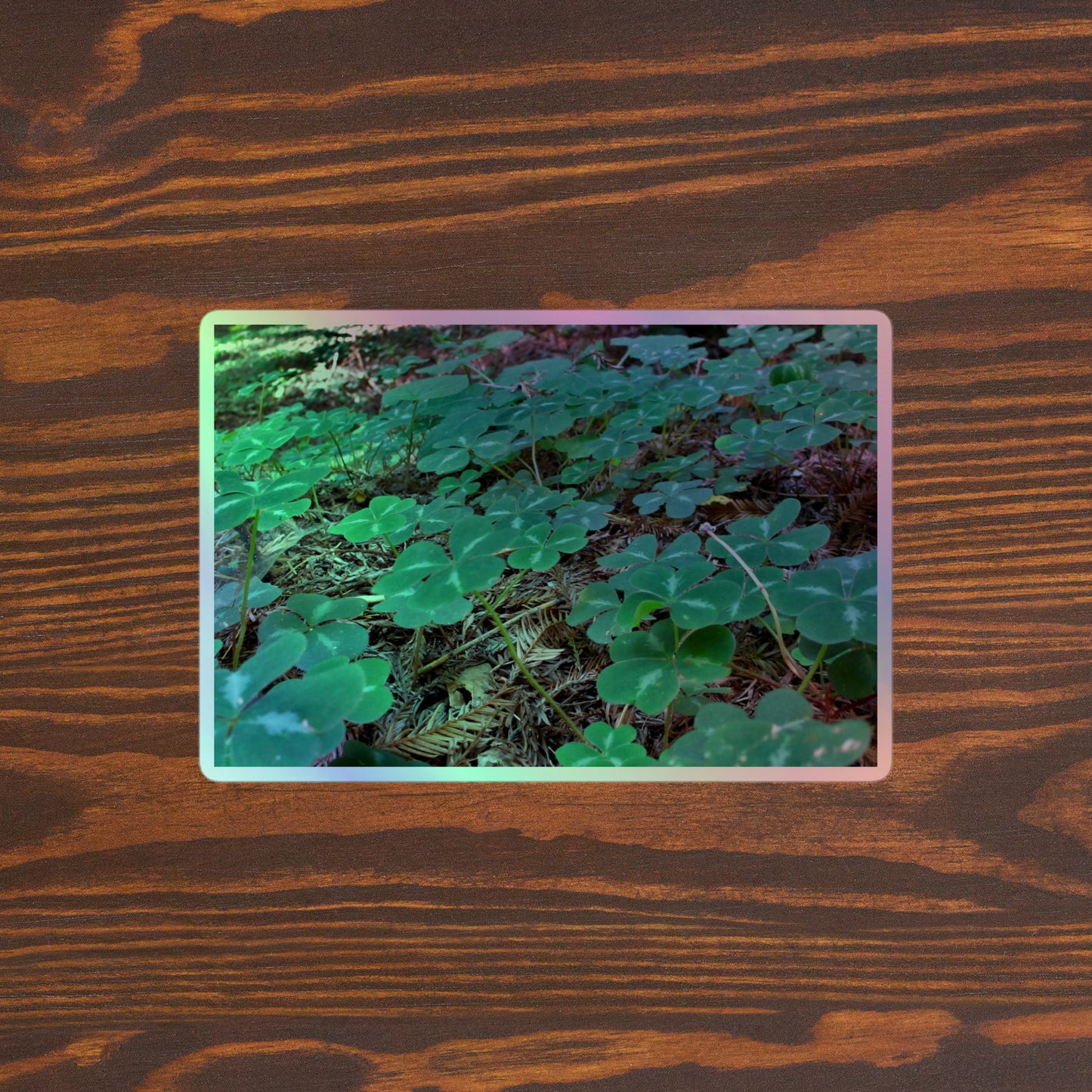 Lifestyle photo of a rectangular holographic sticker with an image of vivid green clover among redwood needles, placed on a brown wooden table surface.
