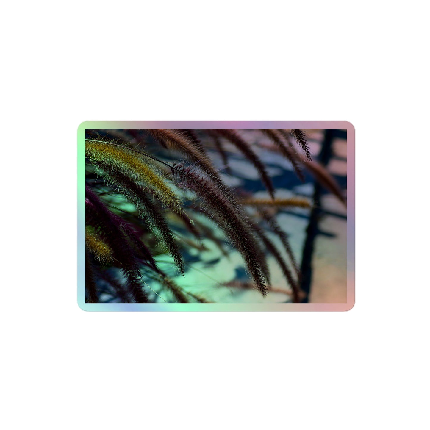 A medium rectangular holographic sticker with an image ofgolden purple foxtails breeze.