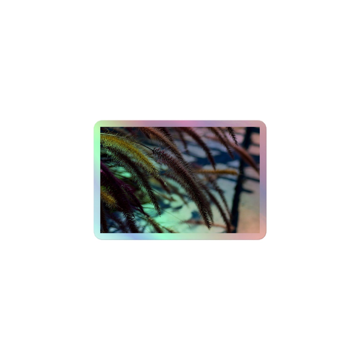 A small rectangular holographic sticker with an image ofgolden purple foxtails breeze.