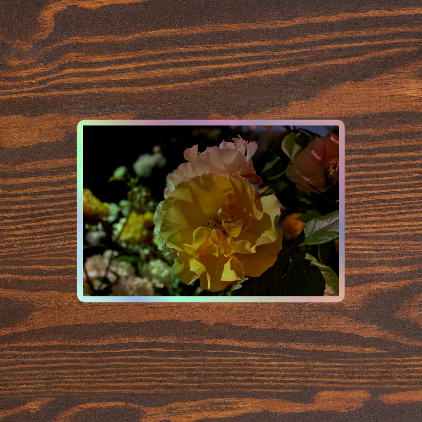Lifestyle photo of a rectangular holographic sticker with an image of pale yellow and pink rose blooms in a garden, placed on a brown wooden table surface.