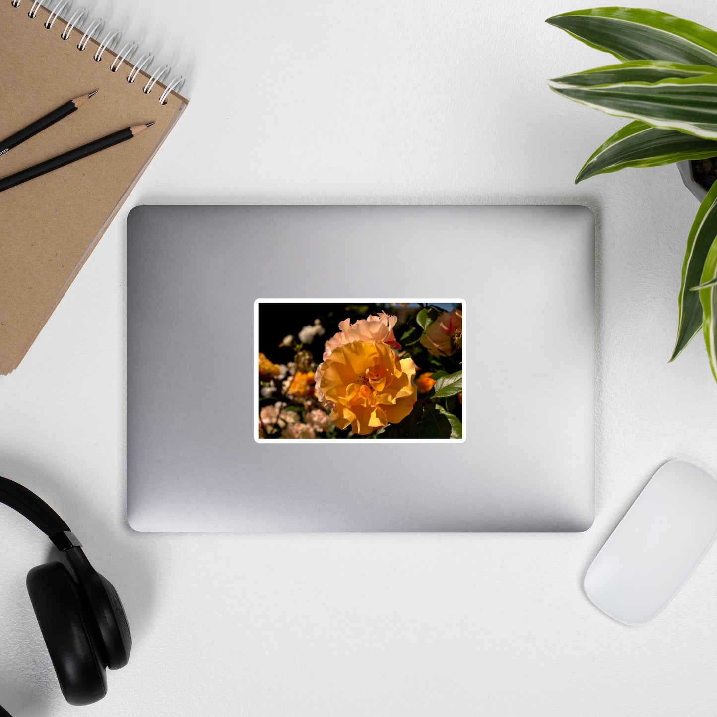 Lifestyle photo of a rectangular vinyl sticker with an image of pastel pink and yellow roses in garden, placed on the outside of a laptop.