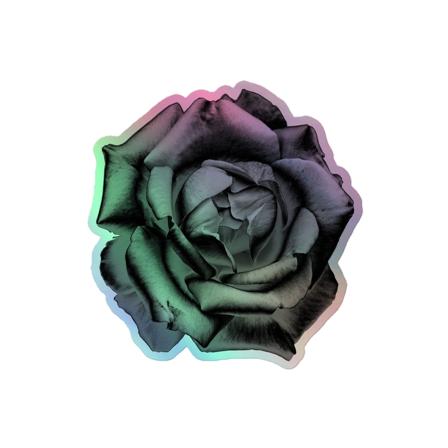 A medium kiss-cut holographic sticker with an image of a grey charcoal drawing style rose design.