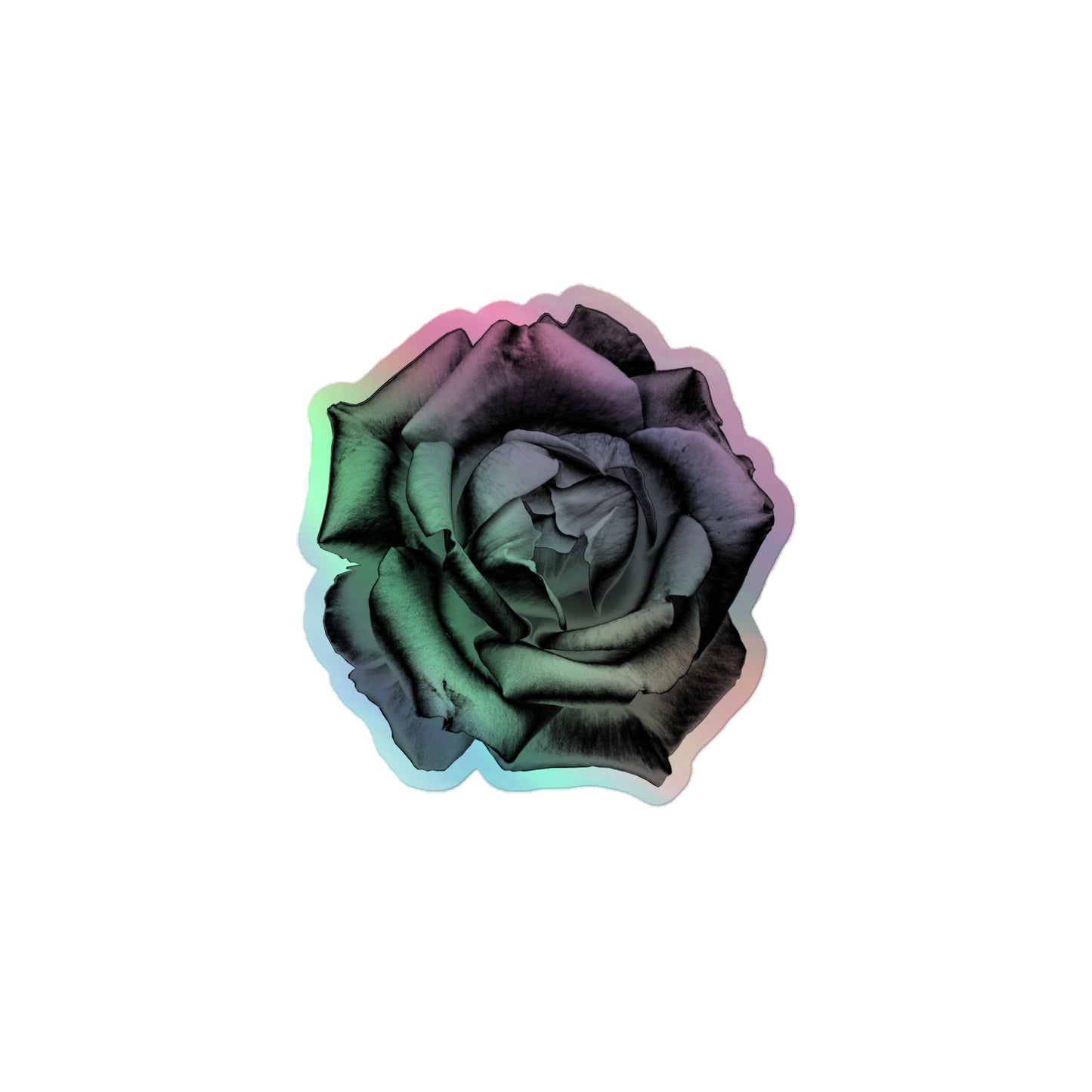 A small kiss-cut holographic sticker with an image of a grey charcoal drawing style rose design.