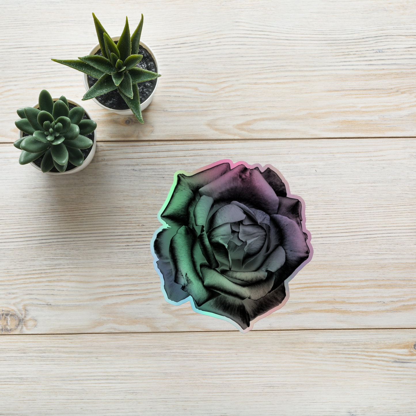 Lifestyle photo of a kiss-cut holographic sticker with an image of a grey charcoal drawing style rose design, placed on a table with two small succulents.