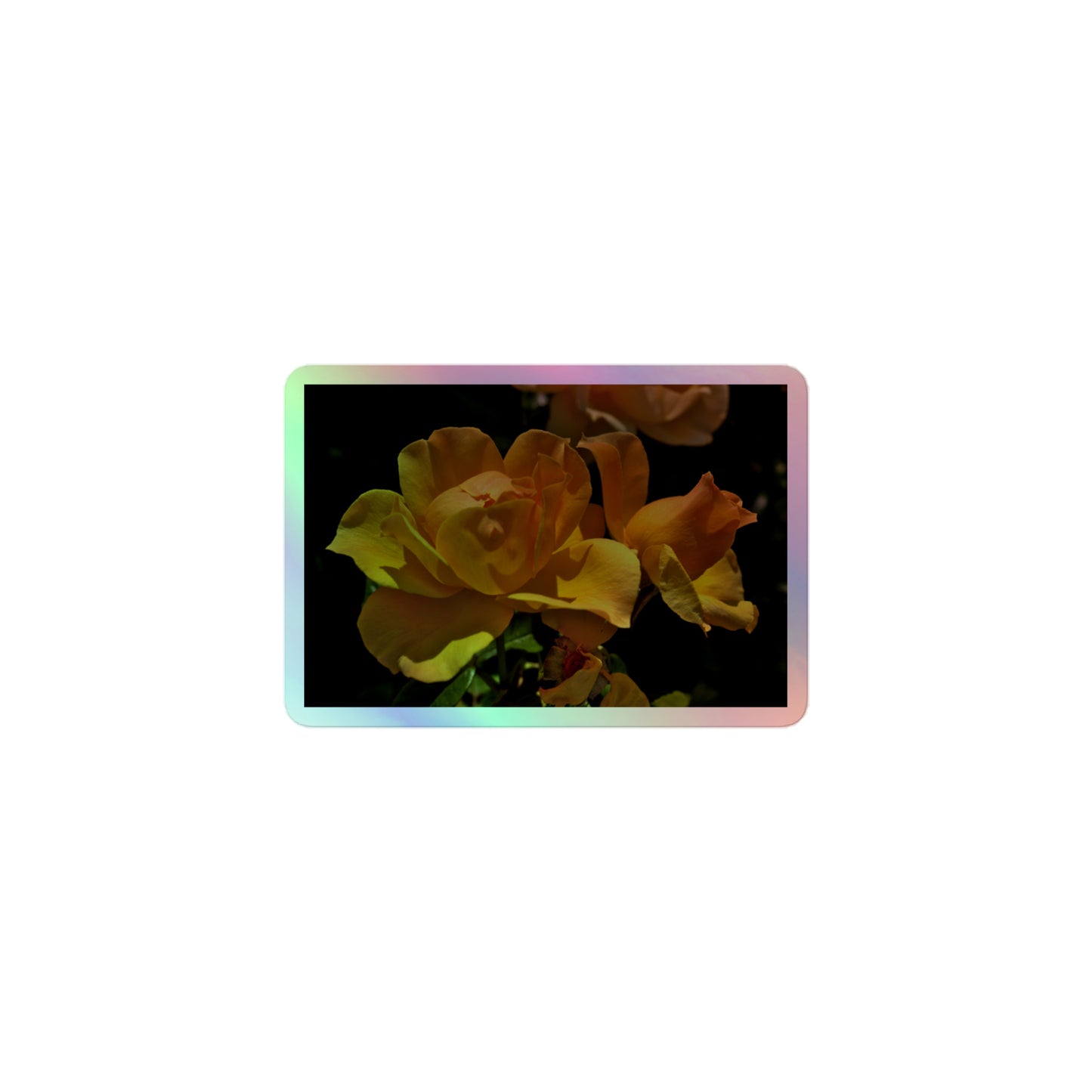 A small rectangular holographic sticker with a high-contrast image of vivid yellow roses against a dark background.