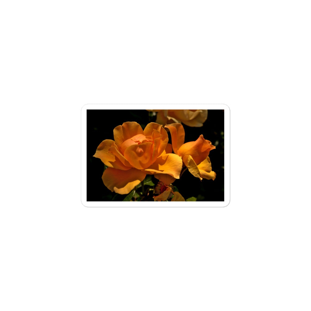 A small rectangular vinyl sticker with a high-contrast image of vivid orange roses against a dark background.