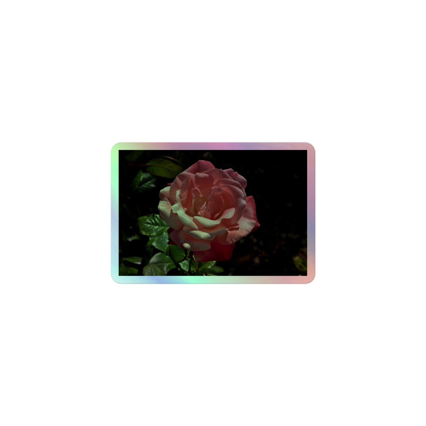 A small rectangular holographic sticker with a high-contrast image of a pink rose with dark green leaves.