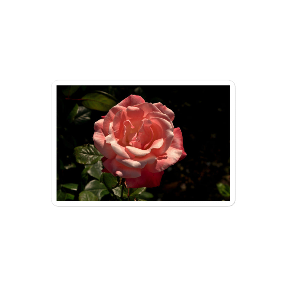A medium rectangular vinyl sticker with a high contrast image of a light pink rose bloom with dark green leaves.