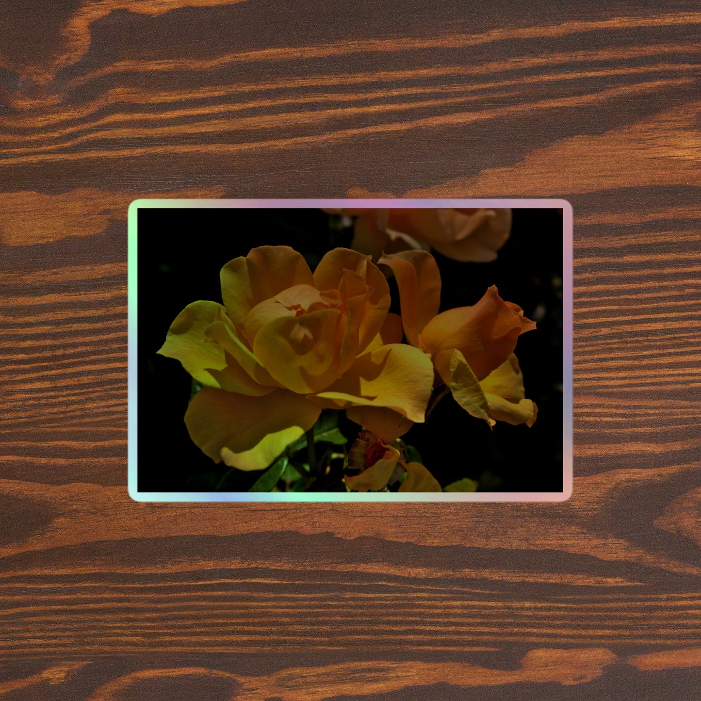 Lifestyle photo of a rectangular holographic sticker with a high-contrast image of vivid yellow roses against a dark background, placed on a brown wooden table surface.