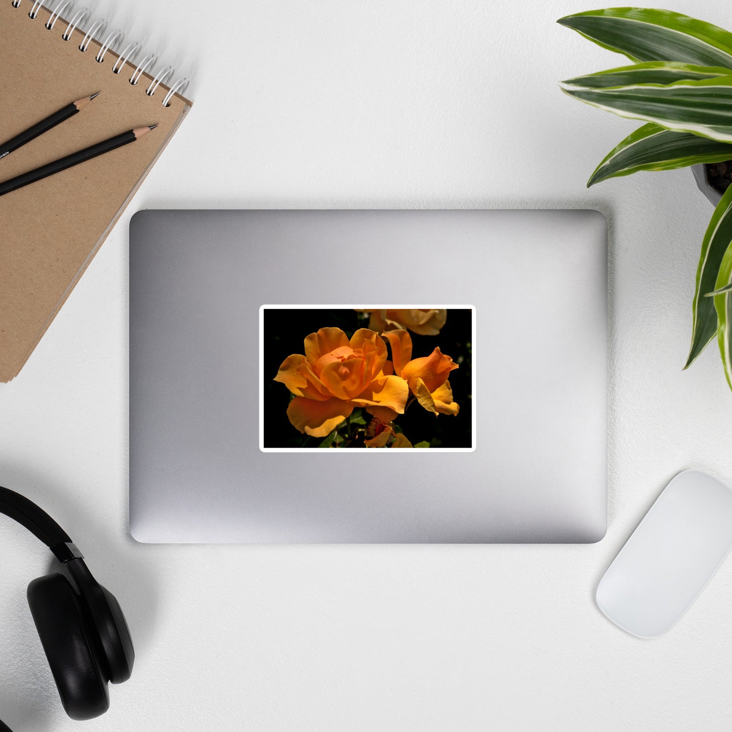 Lifestyle photo of a rectangular vinyl sticker with a high-contrast image of vivid orange roses against a dark background, placed on the outside of a laptop.