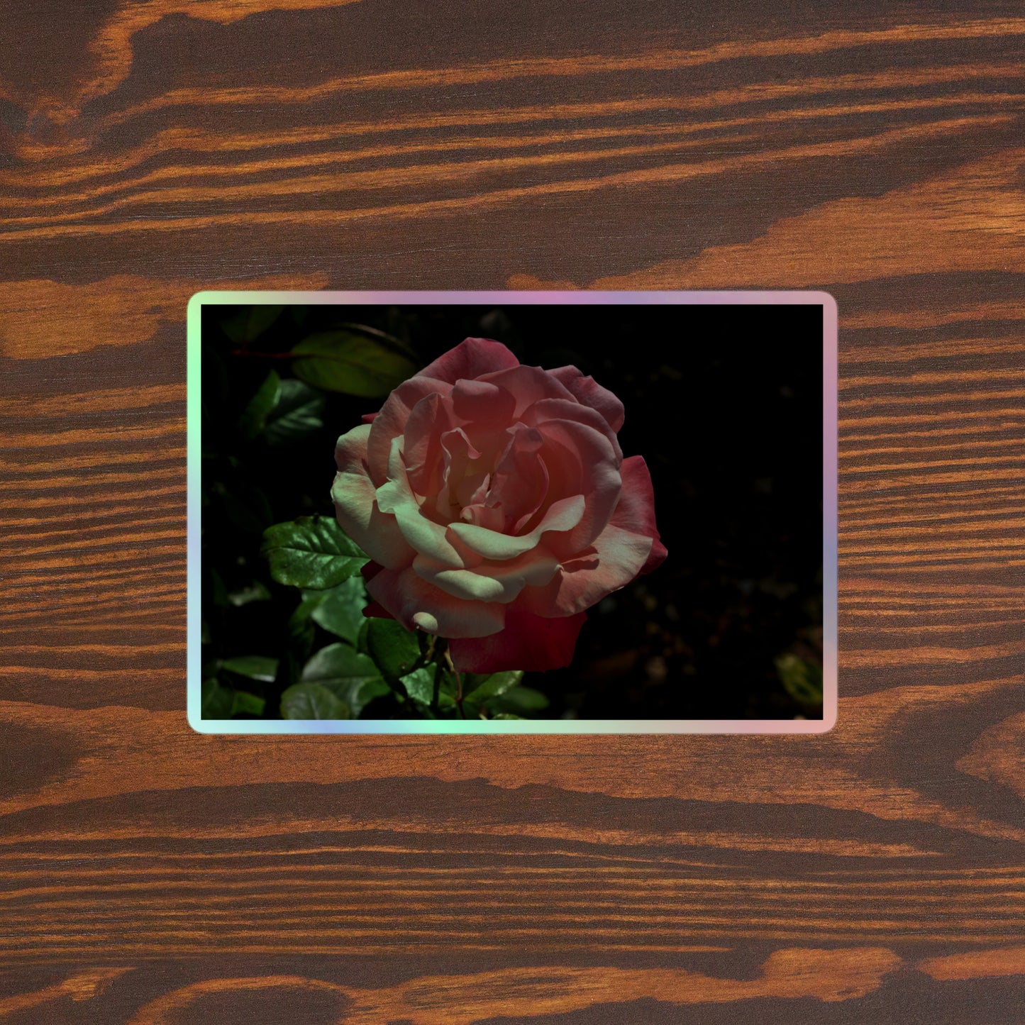 Lifestyle photo of a rectangular holographic sticker with a high-contrast image of a pink rose with dark green leaves, placed on a brown wooden table surface.