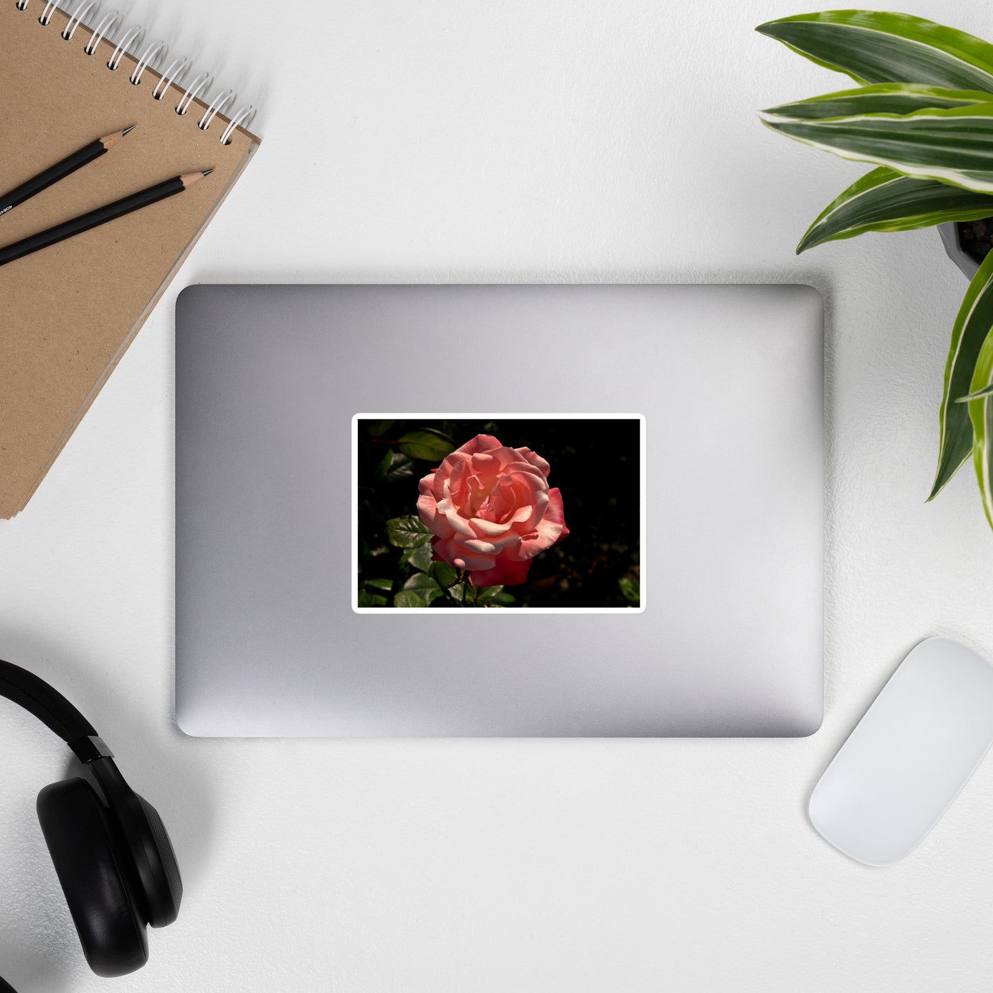 Lifestyle photo of a rectangular vinyl sticker with a high contrast image of a light pink rose bloom with dark green leaves, placed on the outside of a laptop.