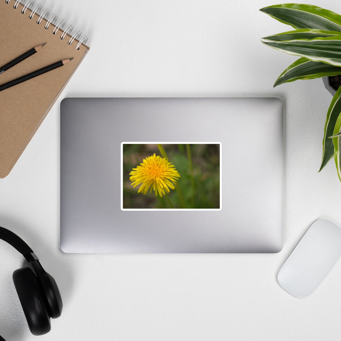 Lifestyle photo of a rectangular vinyl sticker with an image of a bright yellow dandelion bloom, placed on the outside of a laptop.
