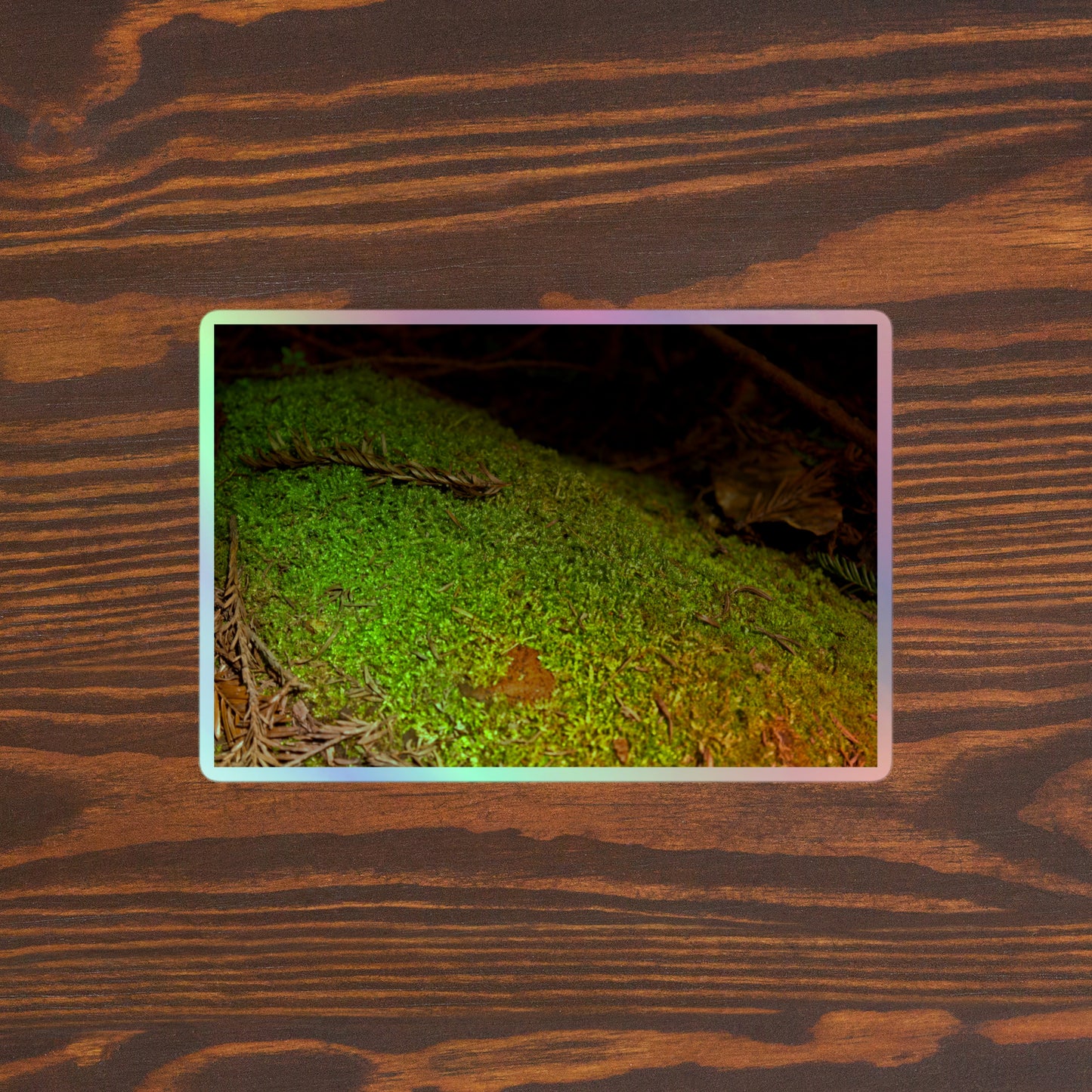 Lifestyle photo of a rectangular holographic sticker with an image of a layer of bright green moss on a fallen tree with redwood needles nearby, placed on a brown wooden table surface.