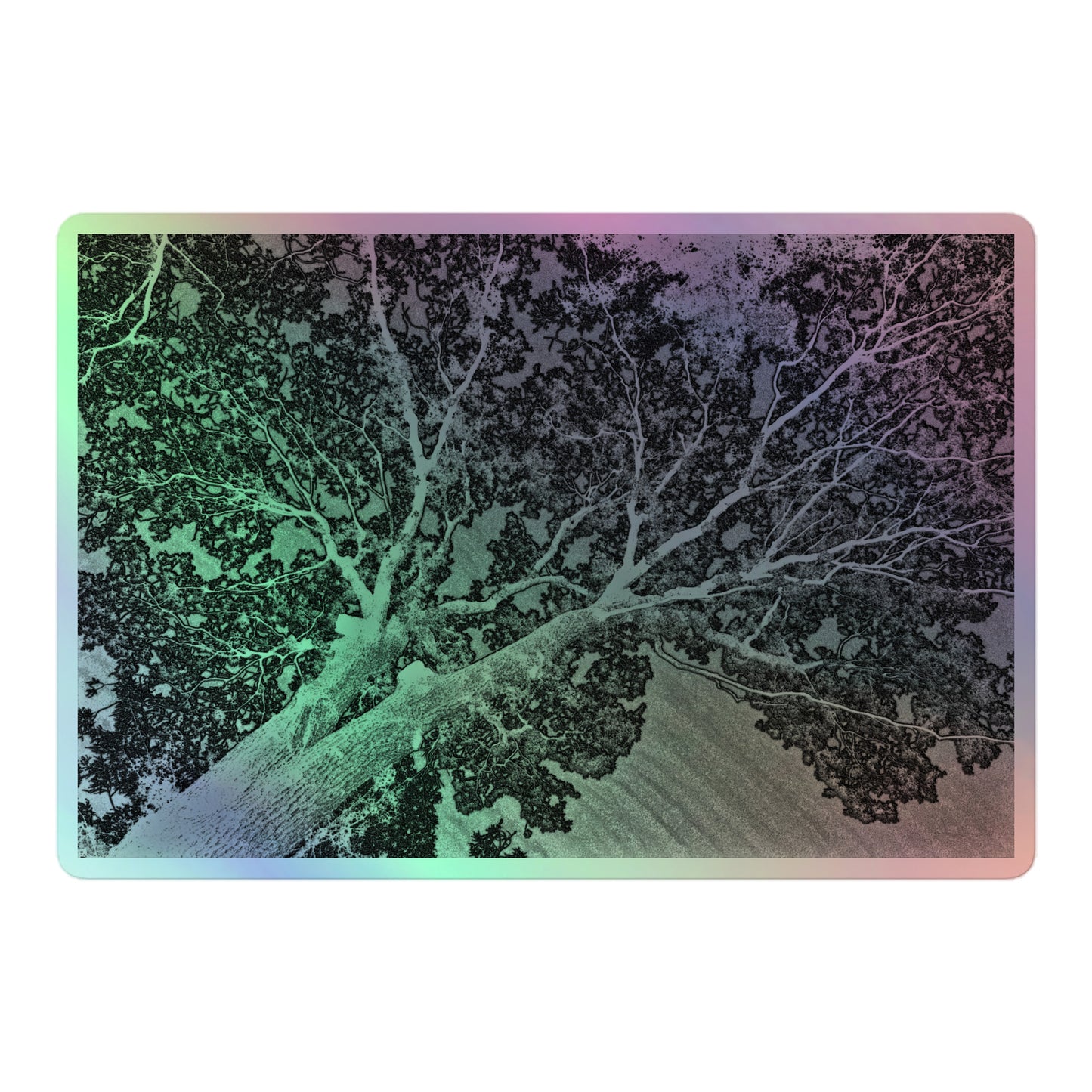 A large rectangular holographic sticker with an image of a light embossed tree lightning design.