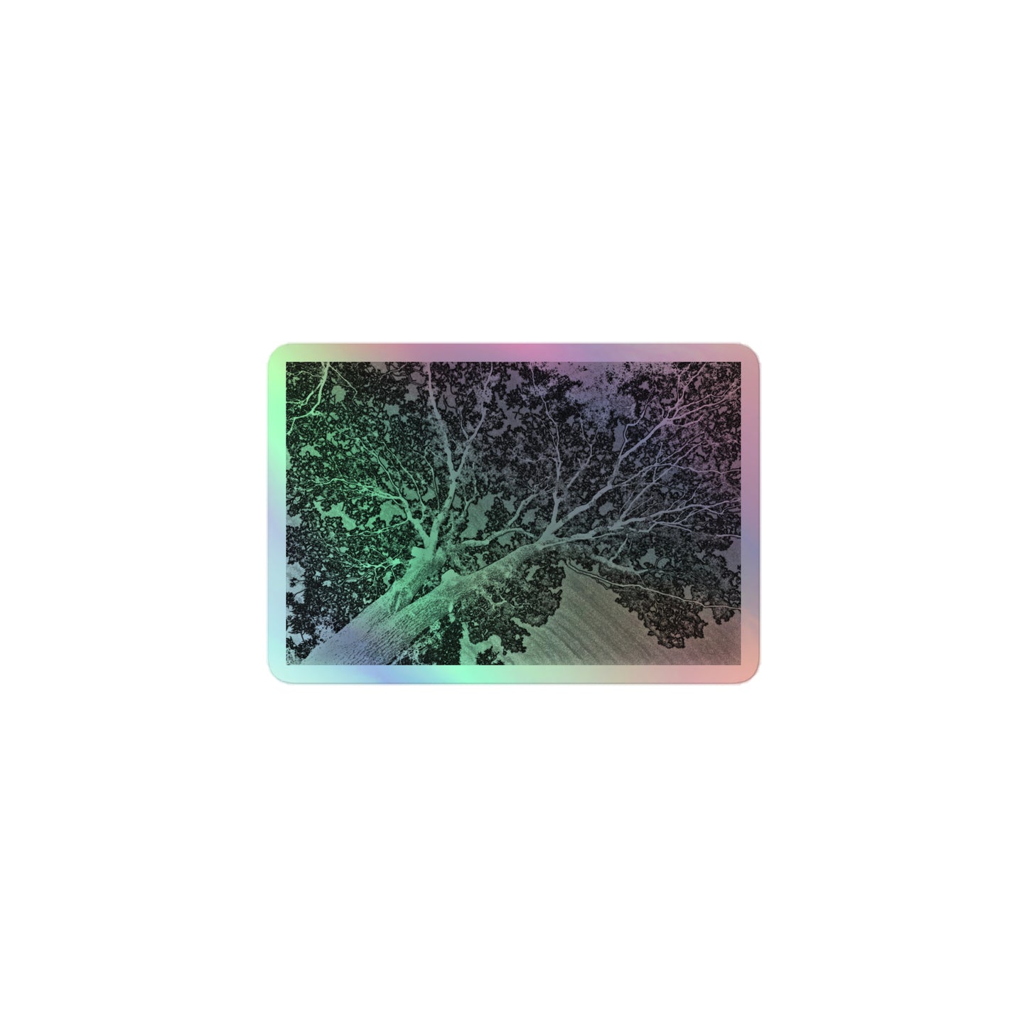A small rectangular holographic sticker with an image of a light embossed tree lightning design.