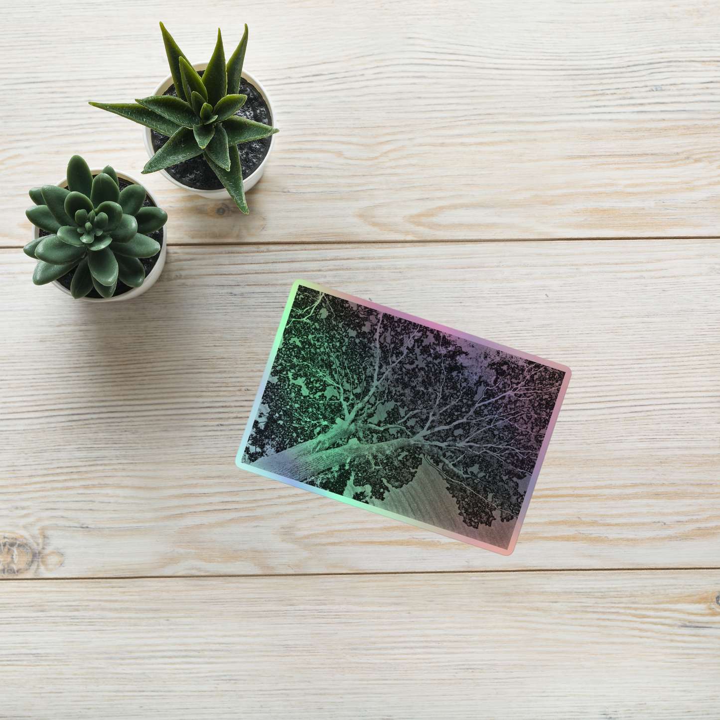 Lifestyle photo of a rectangular holographic sticker with an image of a light embossed tree lightning design, placed on a table with two small succulents.