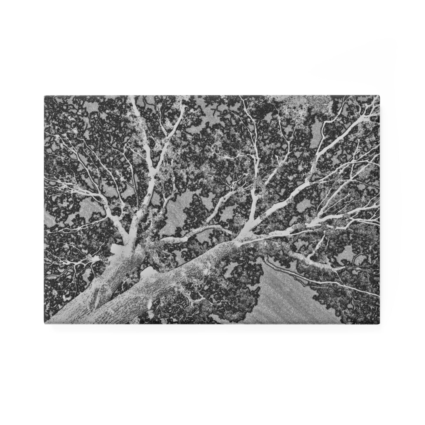 A rectangular button magnet with an image of an embossed tree design with lightning like features.