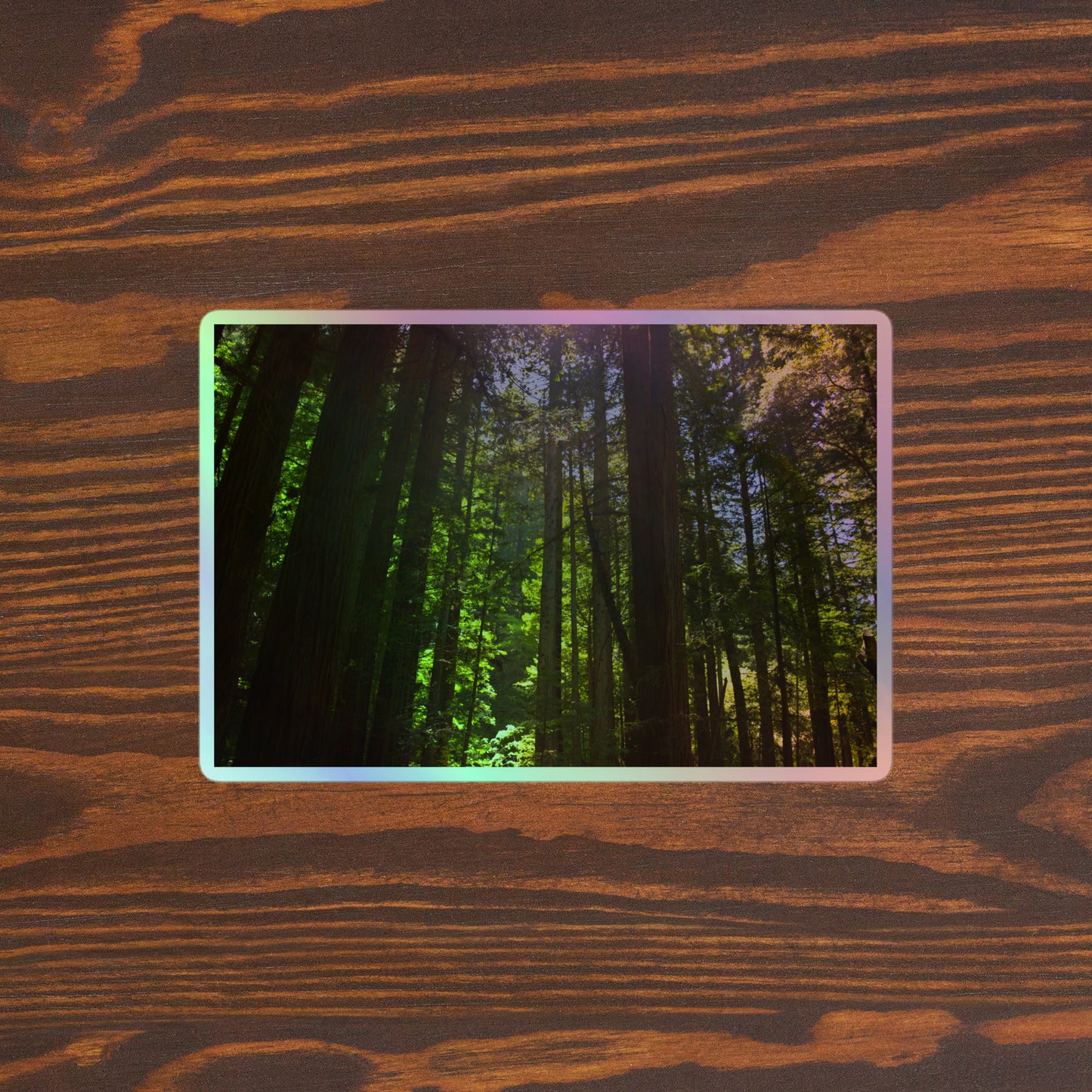 Lifestyle photo of a rectangular holographic sticker with a high-contrast image of a redwood forest with bright green leaves and blue sky in the background, placed on a brown wooden table surface.