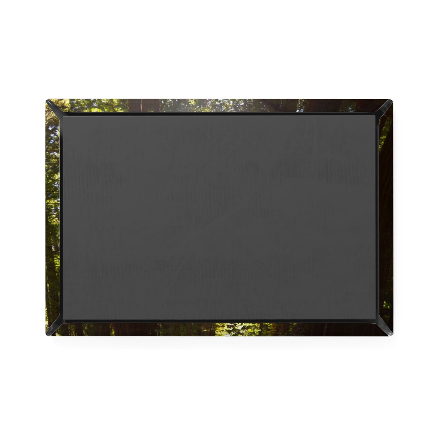 Back view of a rectangular button magnet.