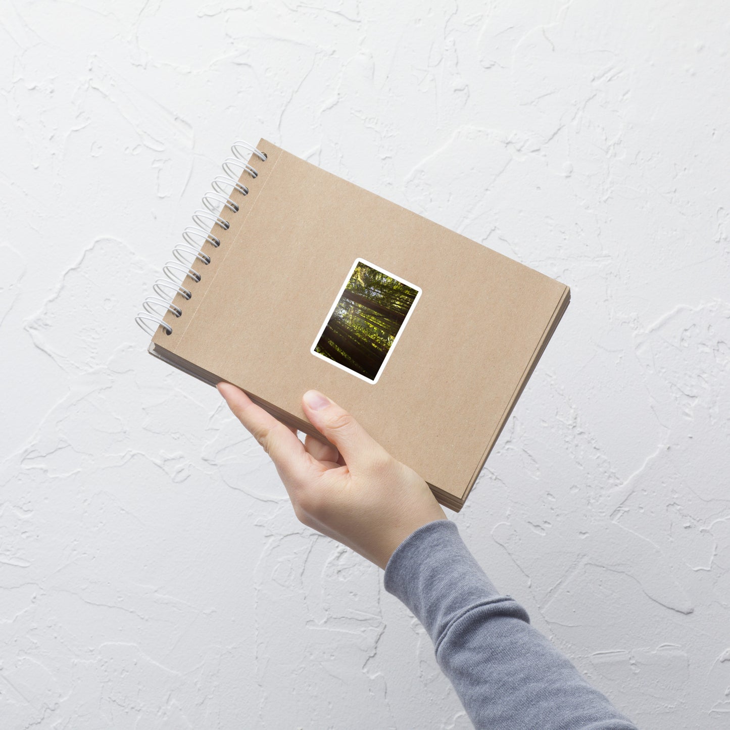 Lifestyle photo of a rectangular vinyl sticker with an image of sun shining into a redwood forest, placed on a small notepad.