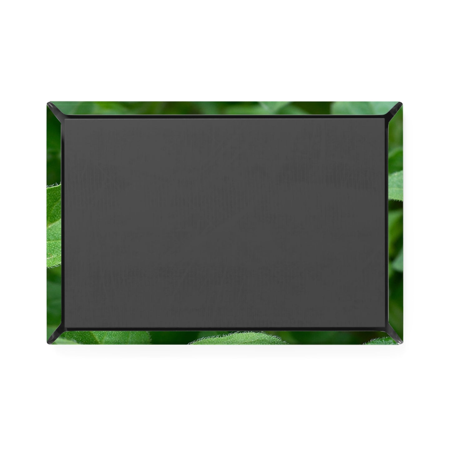 Back view of a rectangular button magnet.