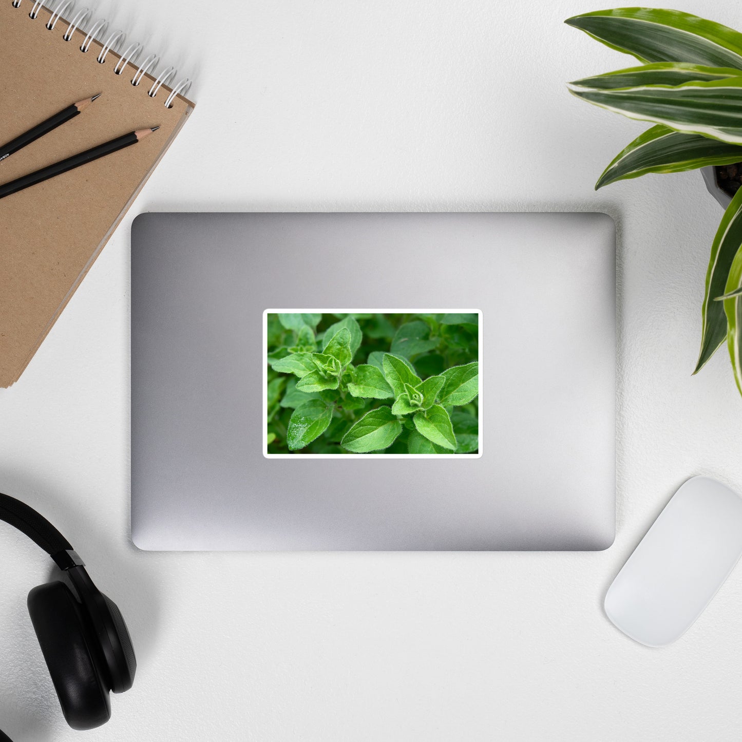 Lifestyle photo of a rectangular vinyl sticker with a close-up image of bright green oregano leaves, placed on the outside of a laptop.