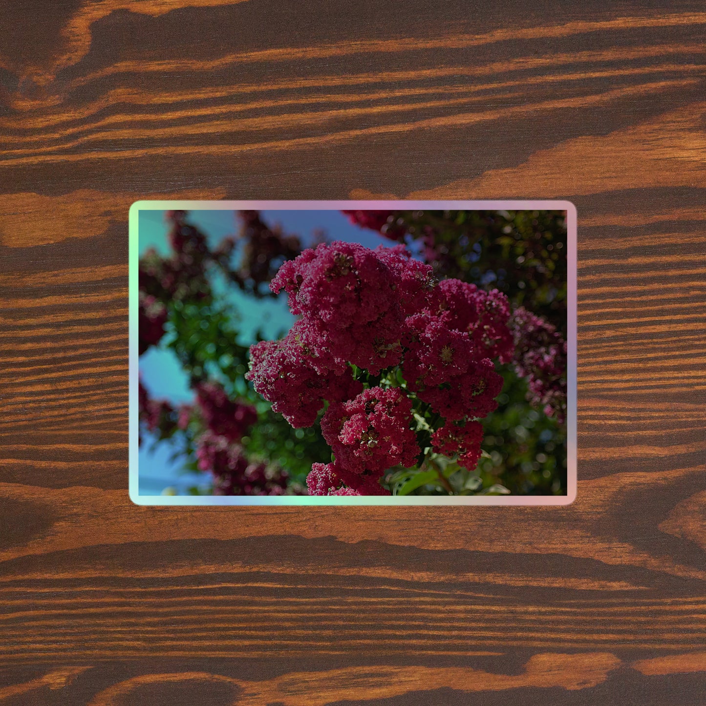 Lifestyle photo of a rectangular holographic sticker with an image of bright pink crape myrtle blooms with green leaves and blue sky in the background, placed on a brown wooden table surface.