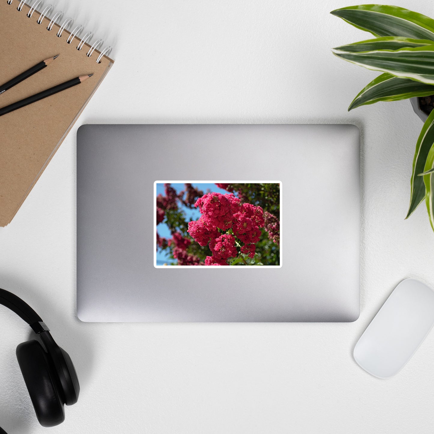 Lifestyle photo of a rectangular vinyl sticker with an image of vivid pink crape myrtle blooms, placed on the outside of a laptop.