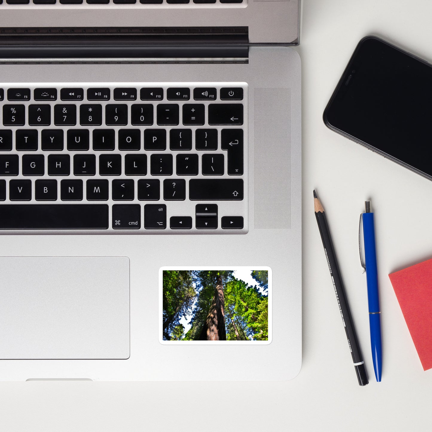 Lifestyle photo of a rectangular vinyl sticker with an image of a giant Sequoia redwood tree, placed on a laptop to the right of the mouse pad.