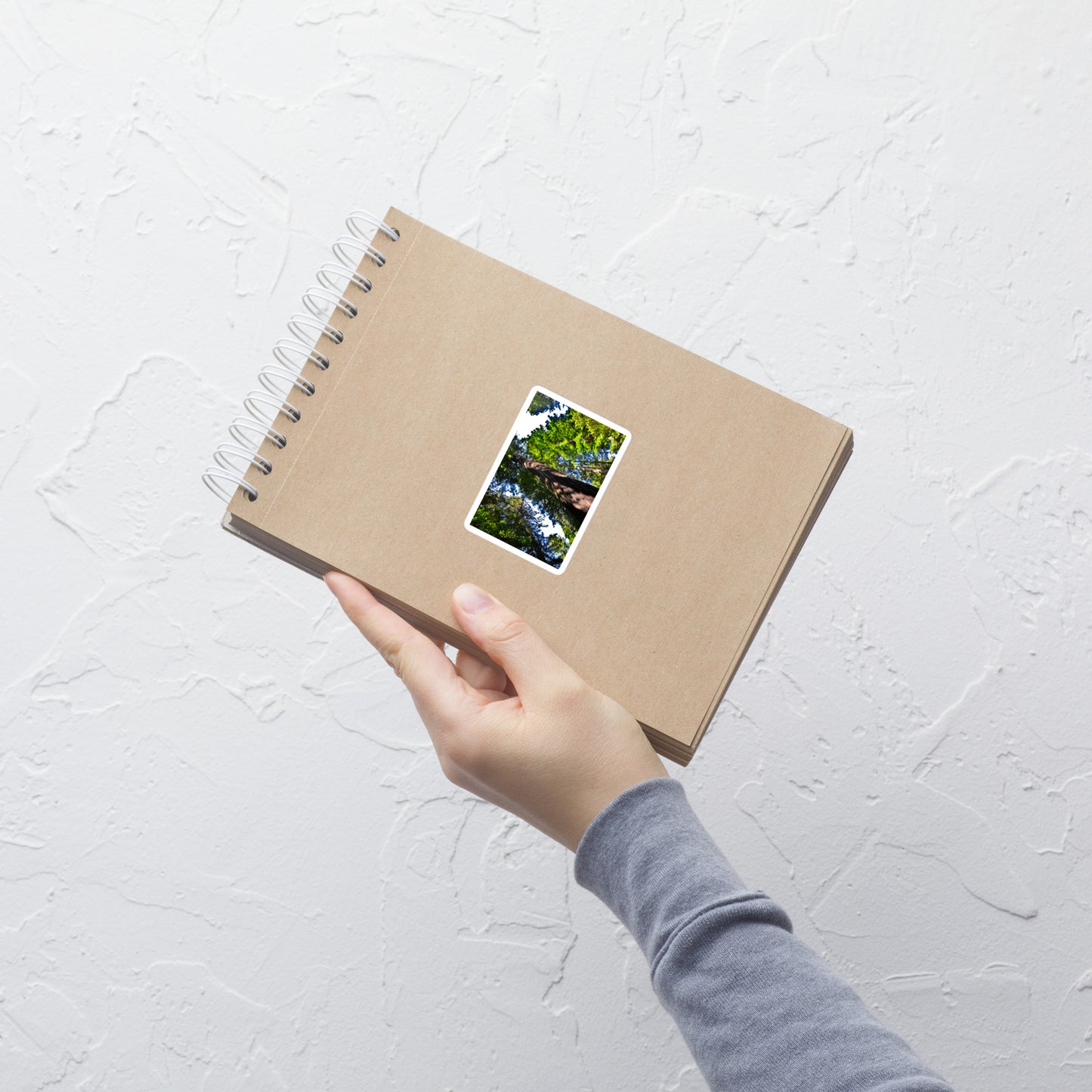 Lifestyle photo of a rectangular vinyl sticker with an image of a giant Sequoia redwood tree, placed on a small notepad.